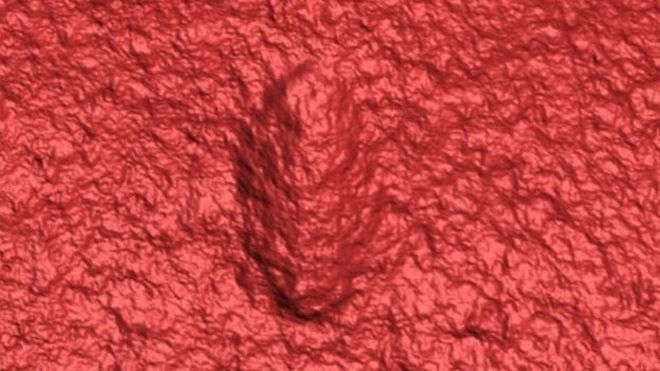 3D-зображення, яке дає чітке уявлення про Ikaria wariootia