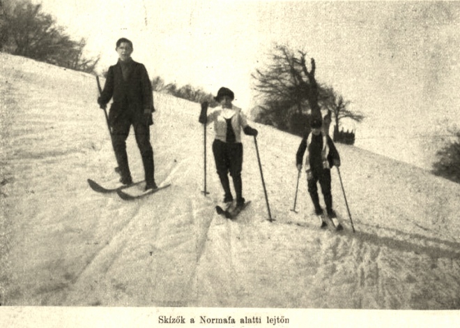 Лижники у парку Нормаф, Будапешт, 1914 рік