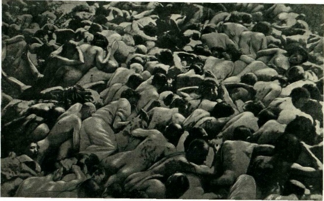 Тіла замордованих нацистами євреїв біля Золочева