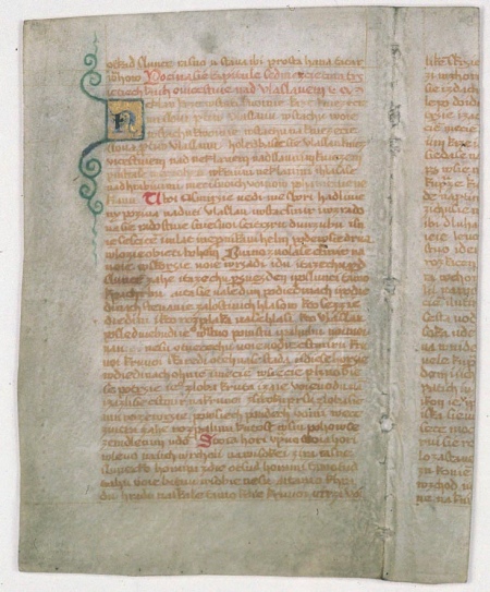 Сторінка з Краледворського рукопису