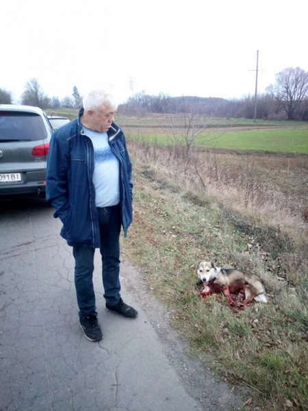 Володимир Байдич стоїть над понівиченим собакою