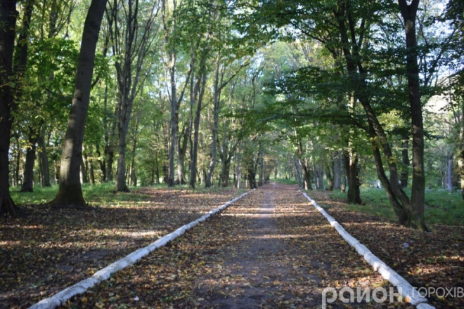 Сучасний вигляд парку Пляторів