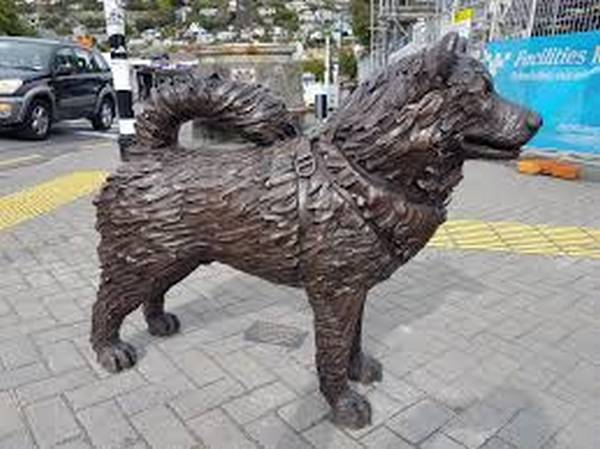 Пам'ятник антарктичній собаці, Крайсторч